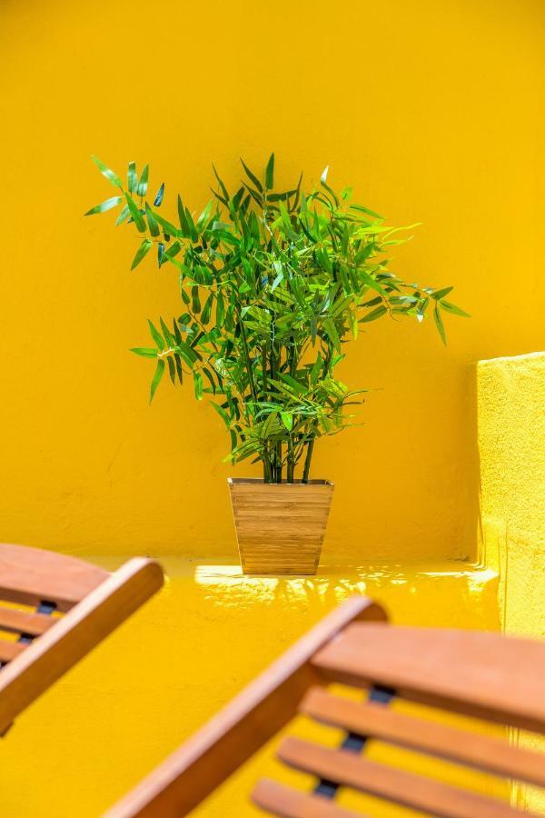 Alfama, Bright And Spacious With Private Terrace, By Timecooler リスボン エクステリア 写真